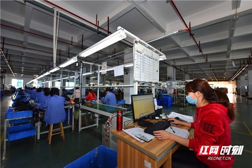 桂阳 全力援企稳岗 按下复工复产 快进键